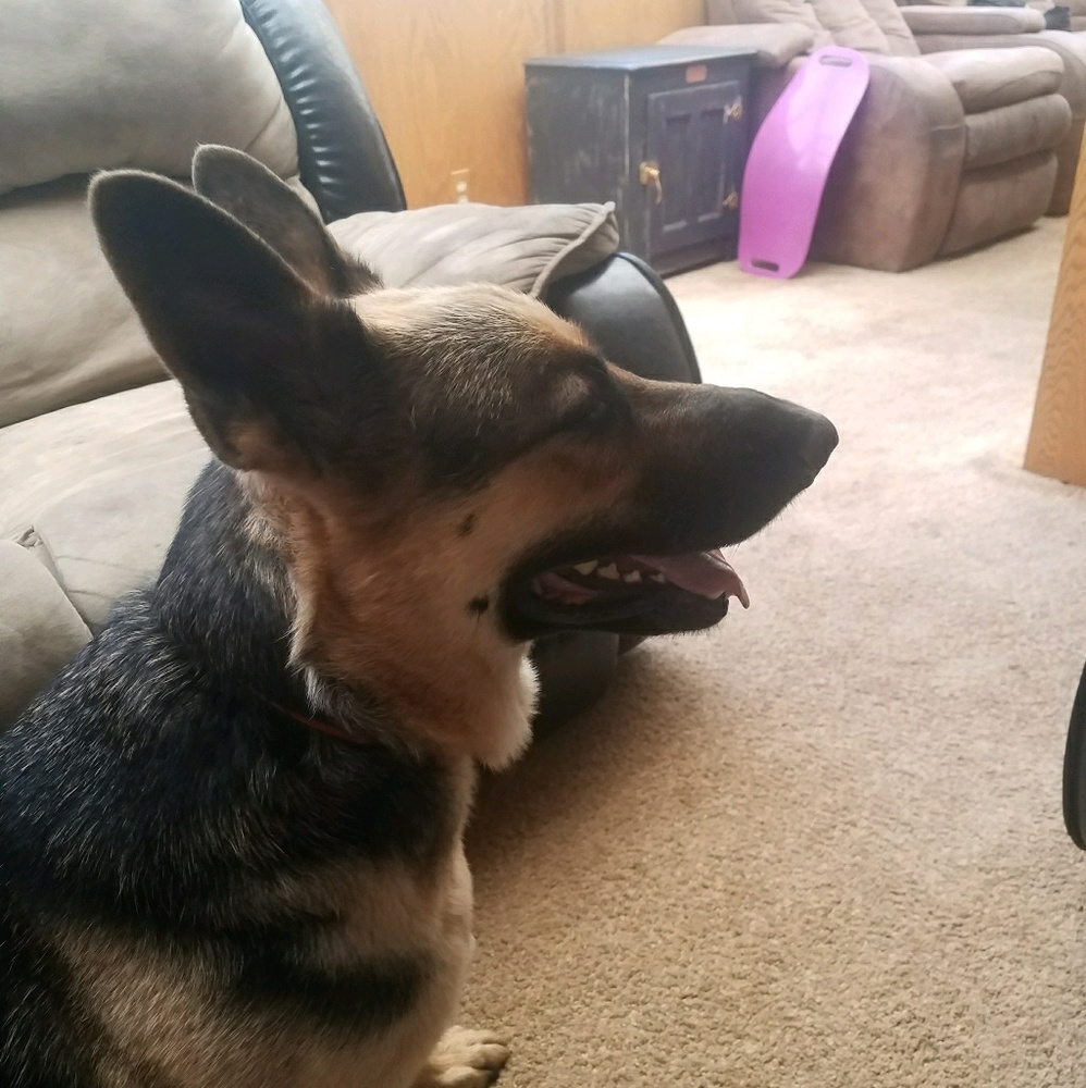 Meet your Posher, Brinley